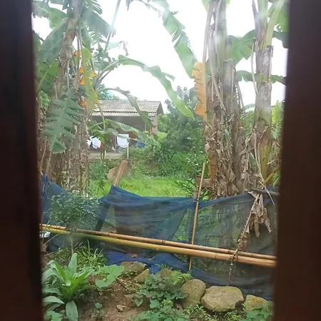 Son Thoi Homestay Lao Cai Room photo