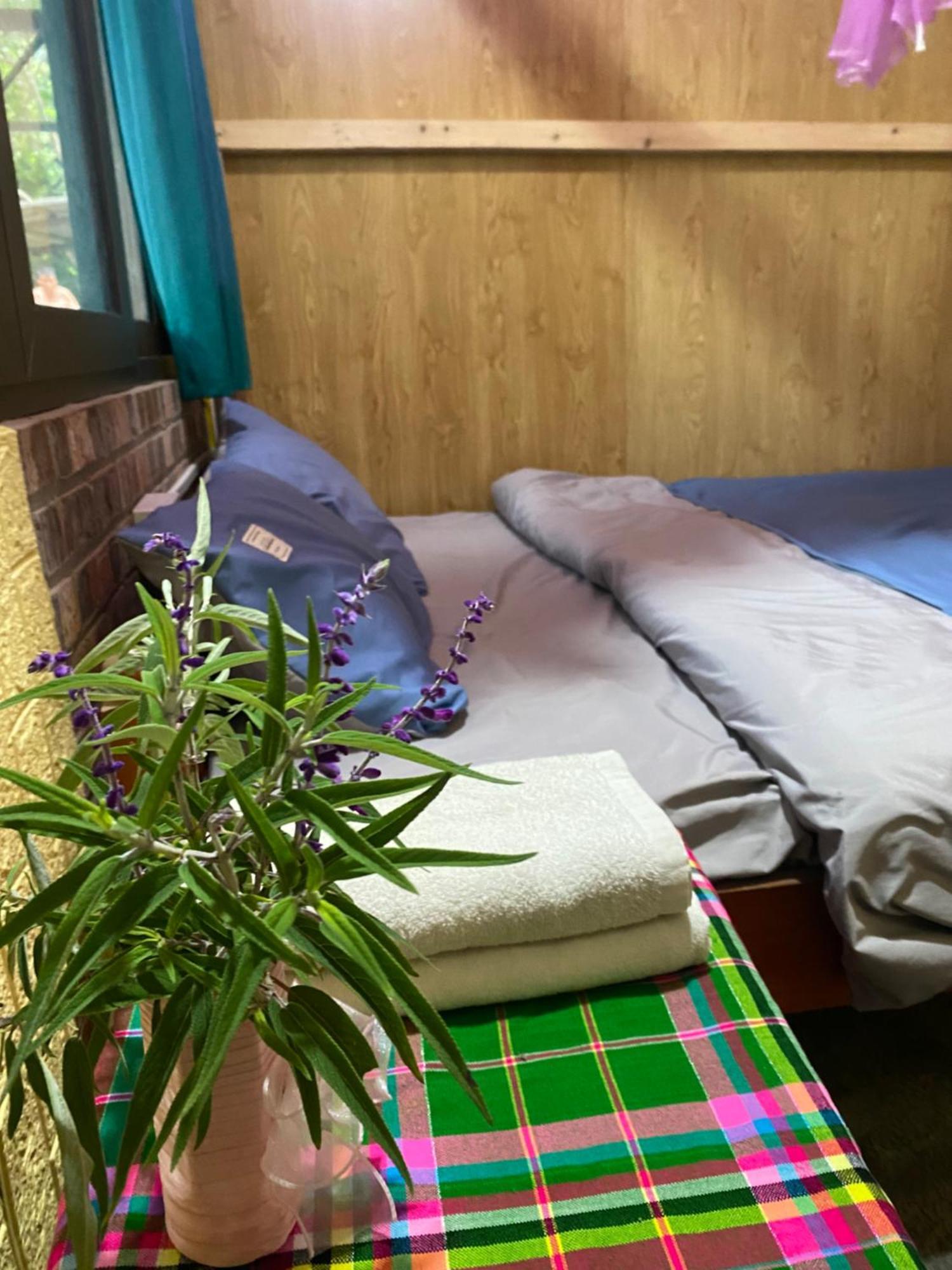 Son Thoi Homestay *