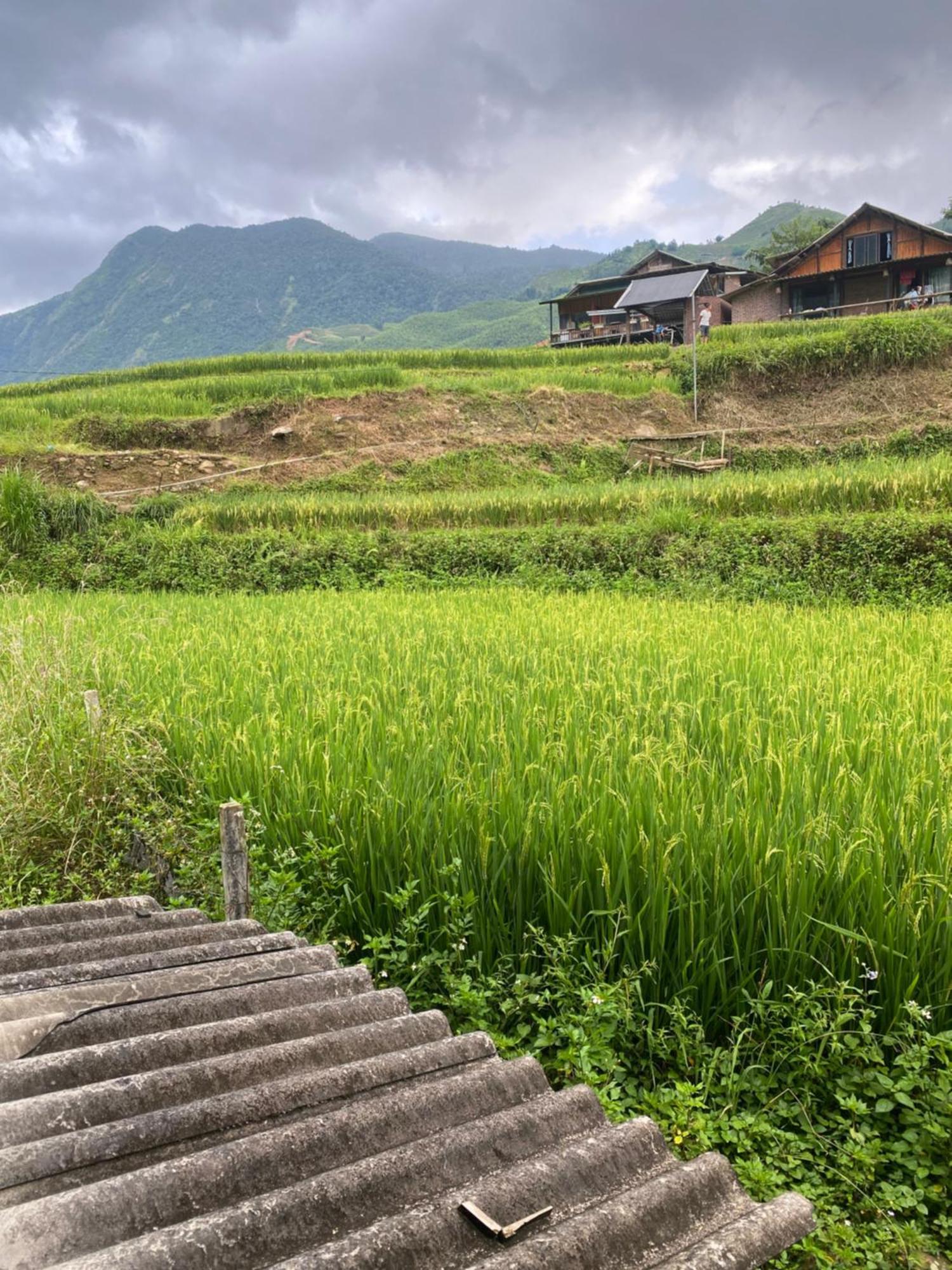 Homestay Son Thoi Lao Cai