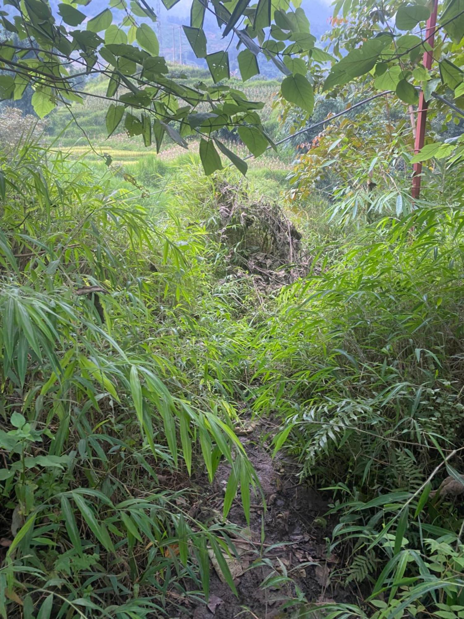 Son Thoi * Lao Cai